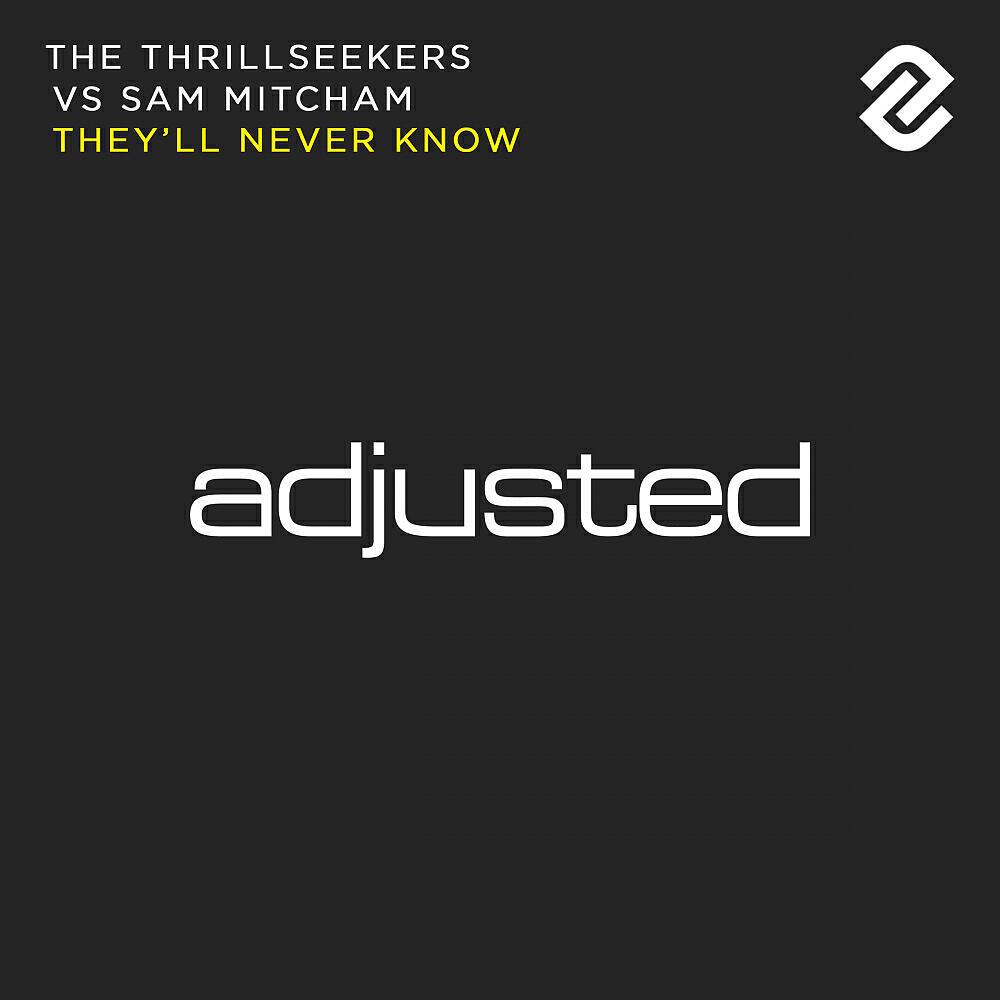 The Thrillseekers - They'll Never Know