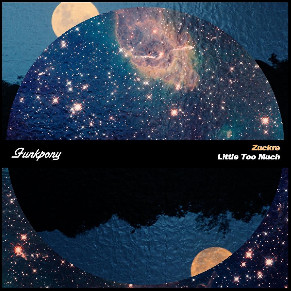 Zuckre - Everything Is A Little Too Much