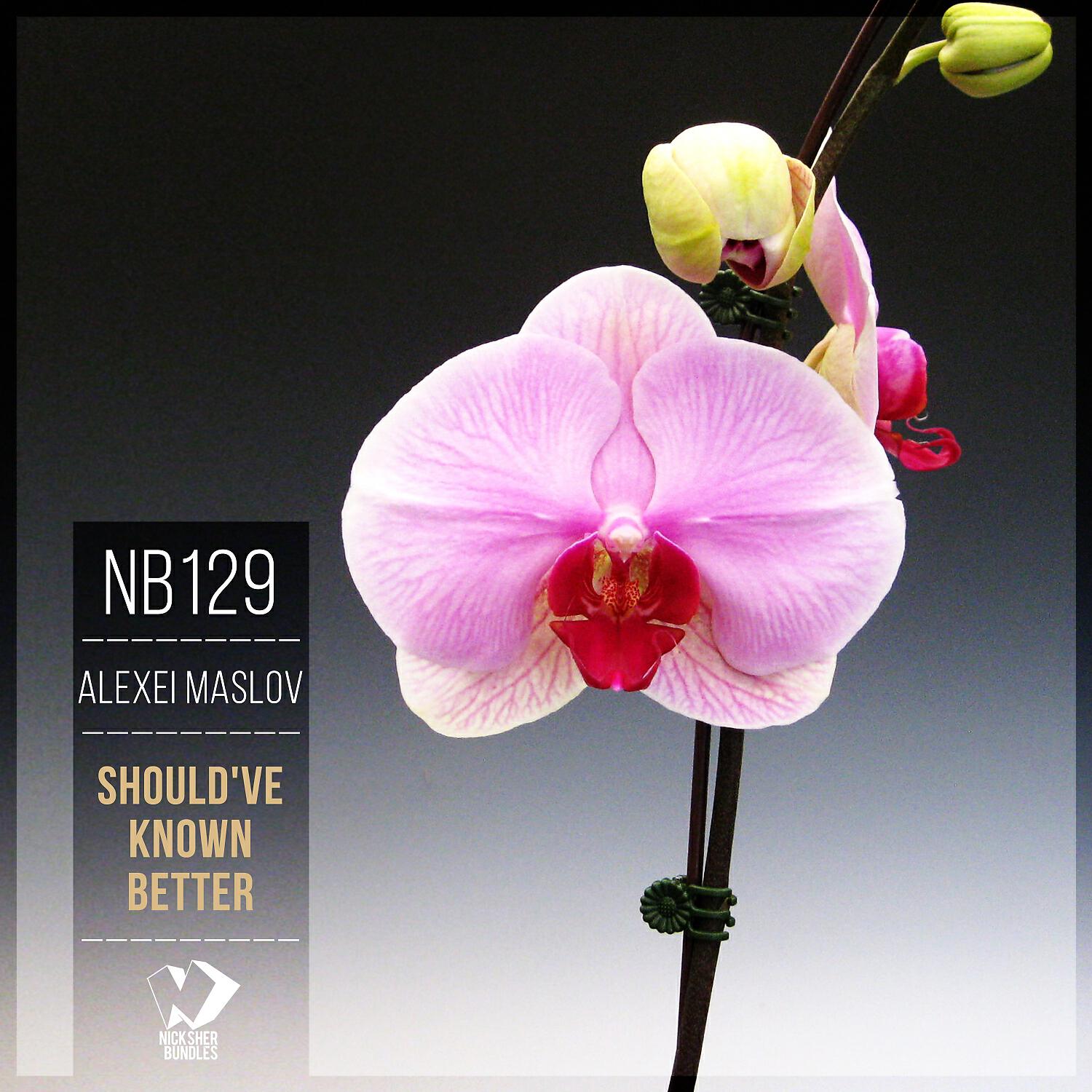 Alexei Maslov - Should've Known Better (Extended Vocal Mix )