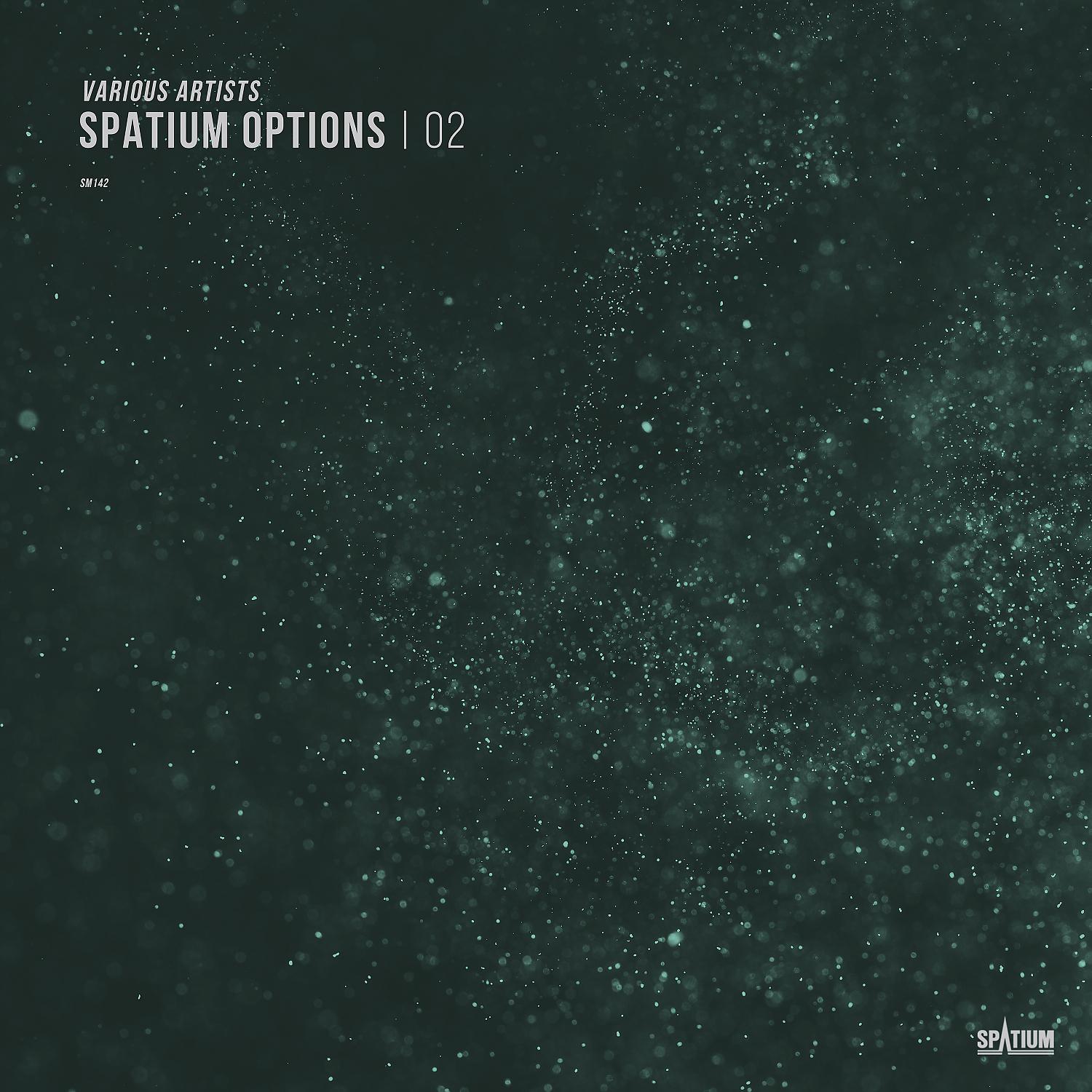 Постер альбома Spatium Options, Vol.02