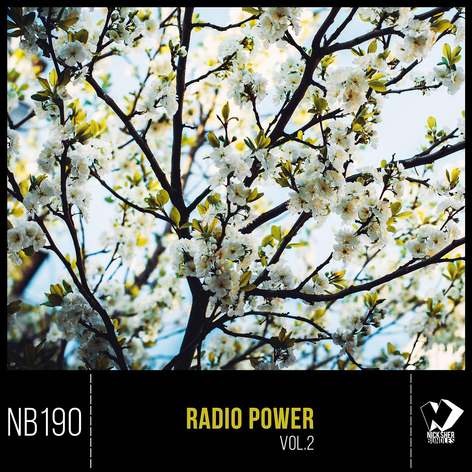 Постер альбома Radio Power, Vol.2