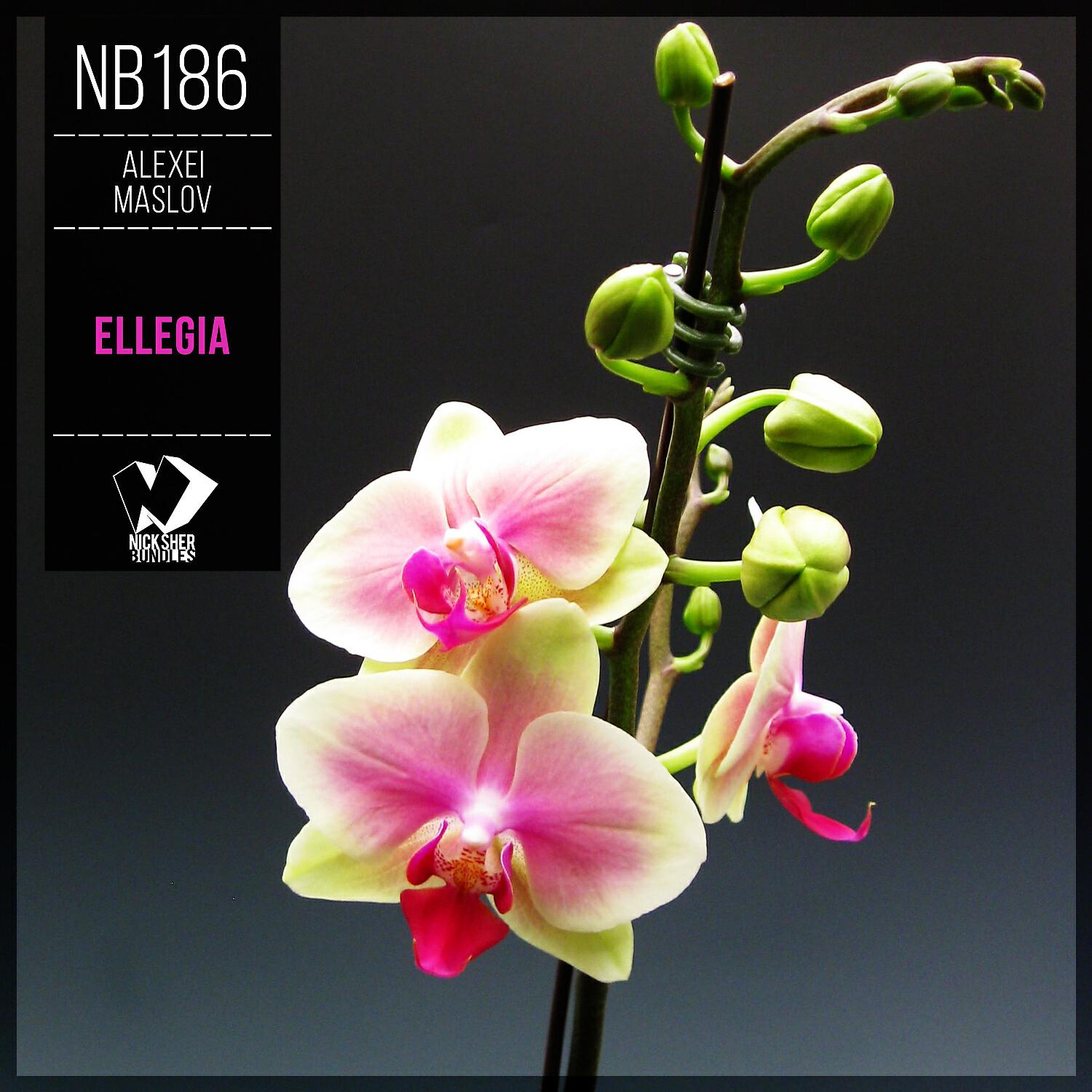 Alexei Maslov - Endorphinium (Original Mix)