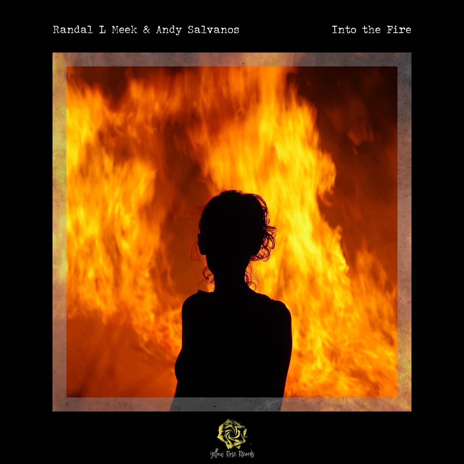 Постер альбома Into the Fire