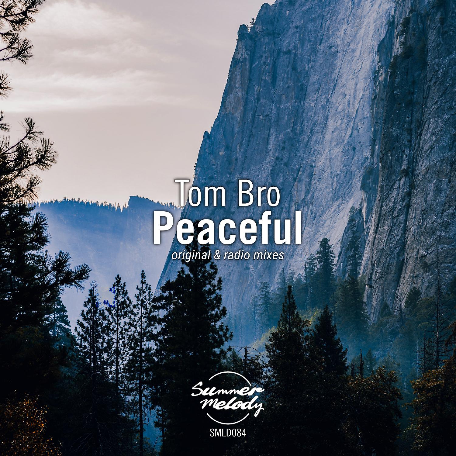 Постер альбома Peaceful