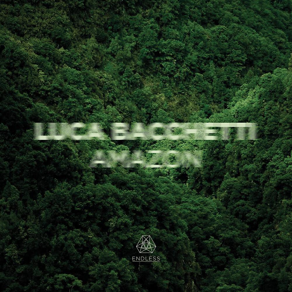 Luca Bacchetti - Amazon