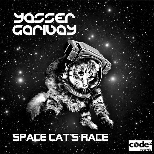 Постер альбома Space Cats Race