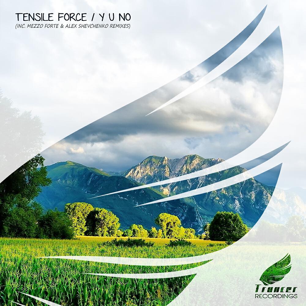 Tensile Force - Y U NO (Alex Shevchenko Emotional Remix)
