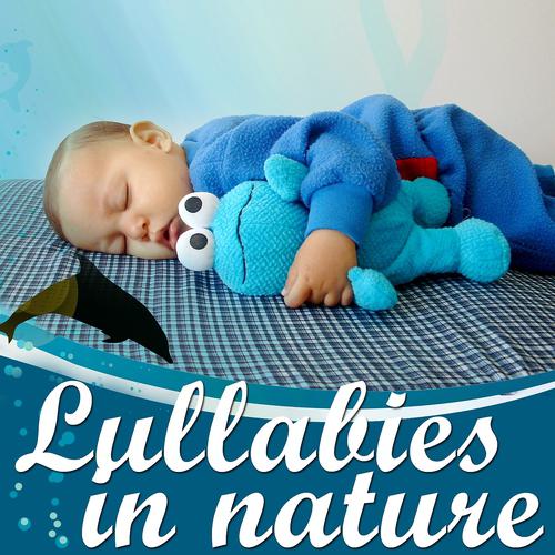 Постер альбома Lullabies in Nature: Sleeping With Dolphins