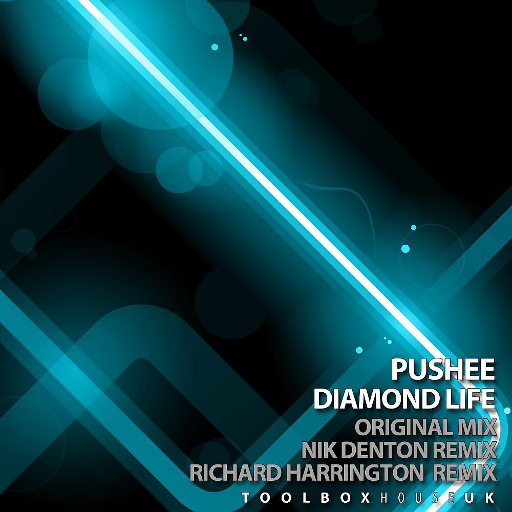 Pushee - Diamond Life (Richard Harrington Remix)