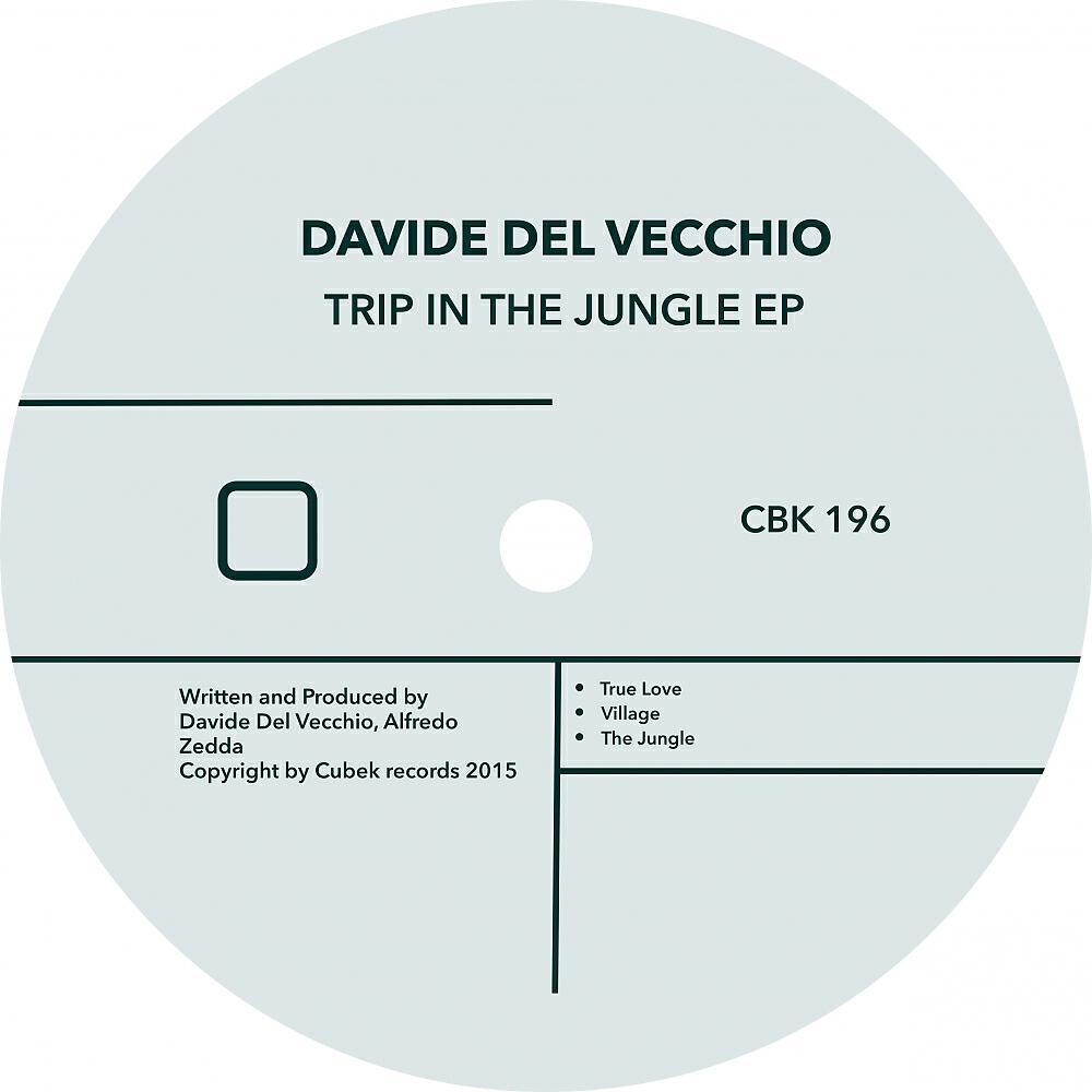 Davide Del Vecchio - True Love