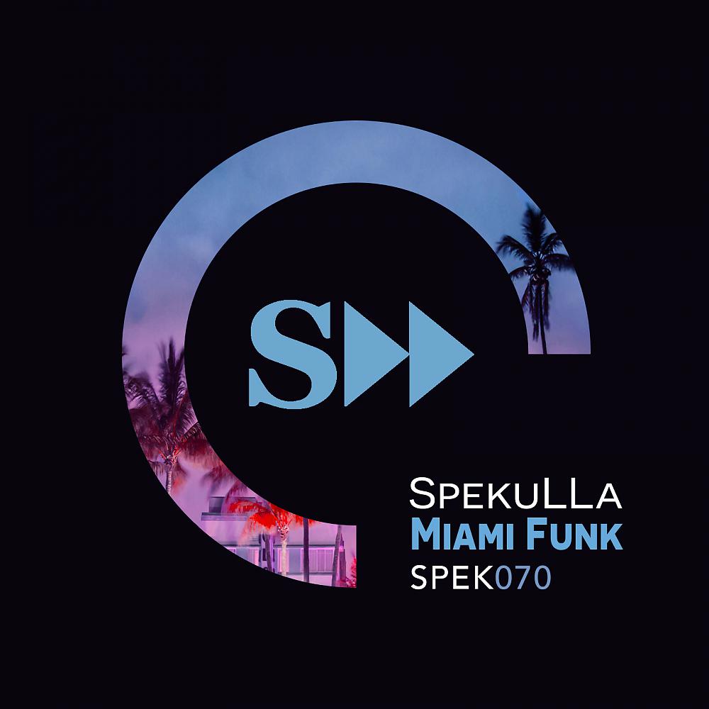 Постер альбома Miami Funk