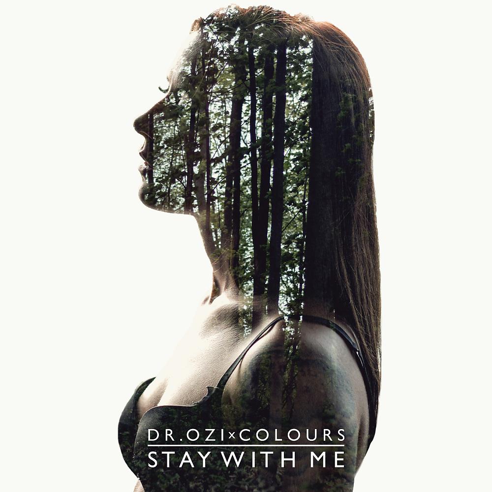 Постер альбома Stay With Me