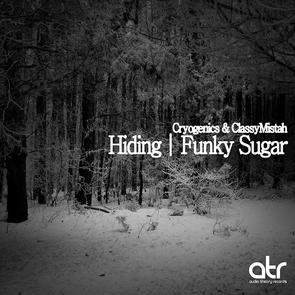 Постер альбома Hiding / Funky Sugar