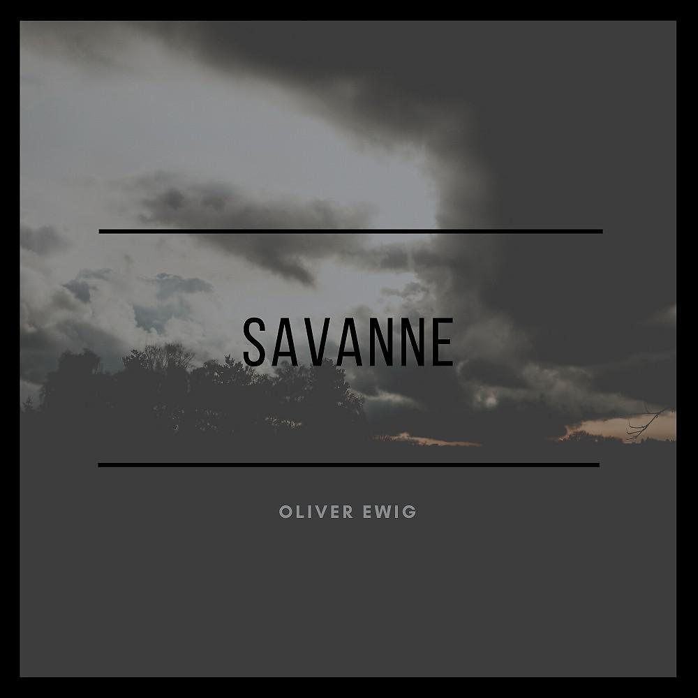 Постер альбома Savanne