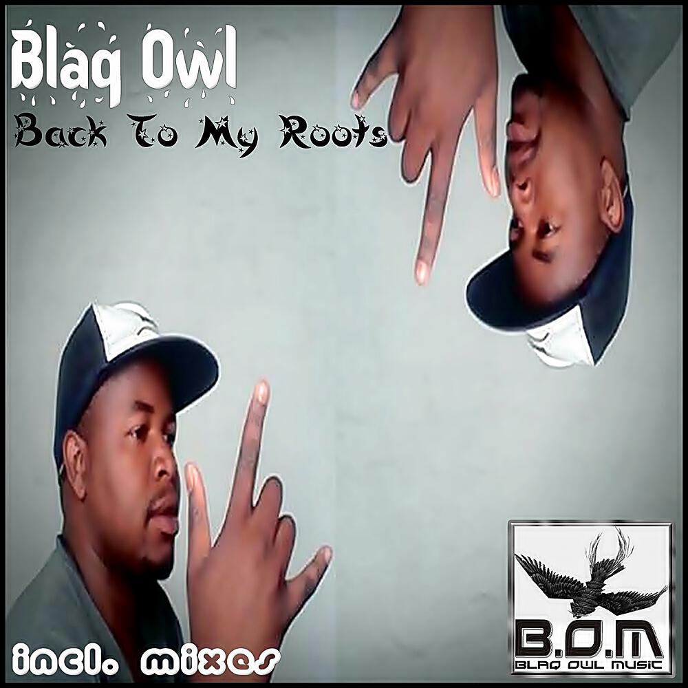 Blaq Owl - Back To My Roots (Deejay 2Mi Guitar Mix)