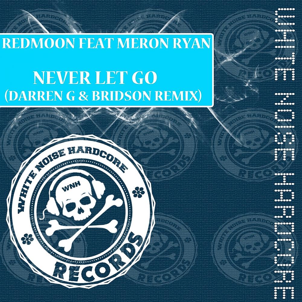 Постер альбома Never Let Go (Darren G & Bridson Remix)