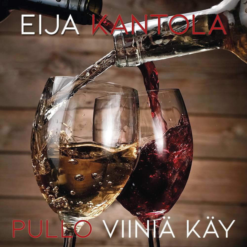 Постер альбома Pullo viiniä käy