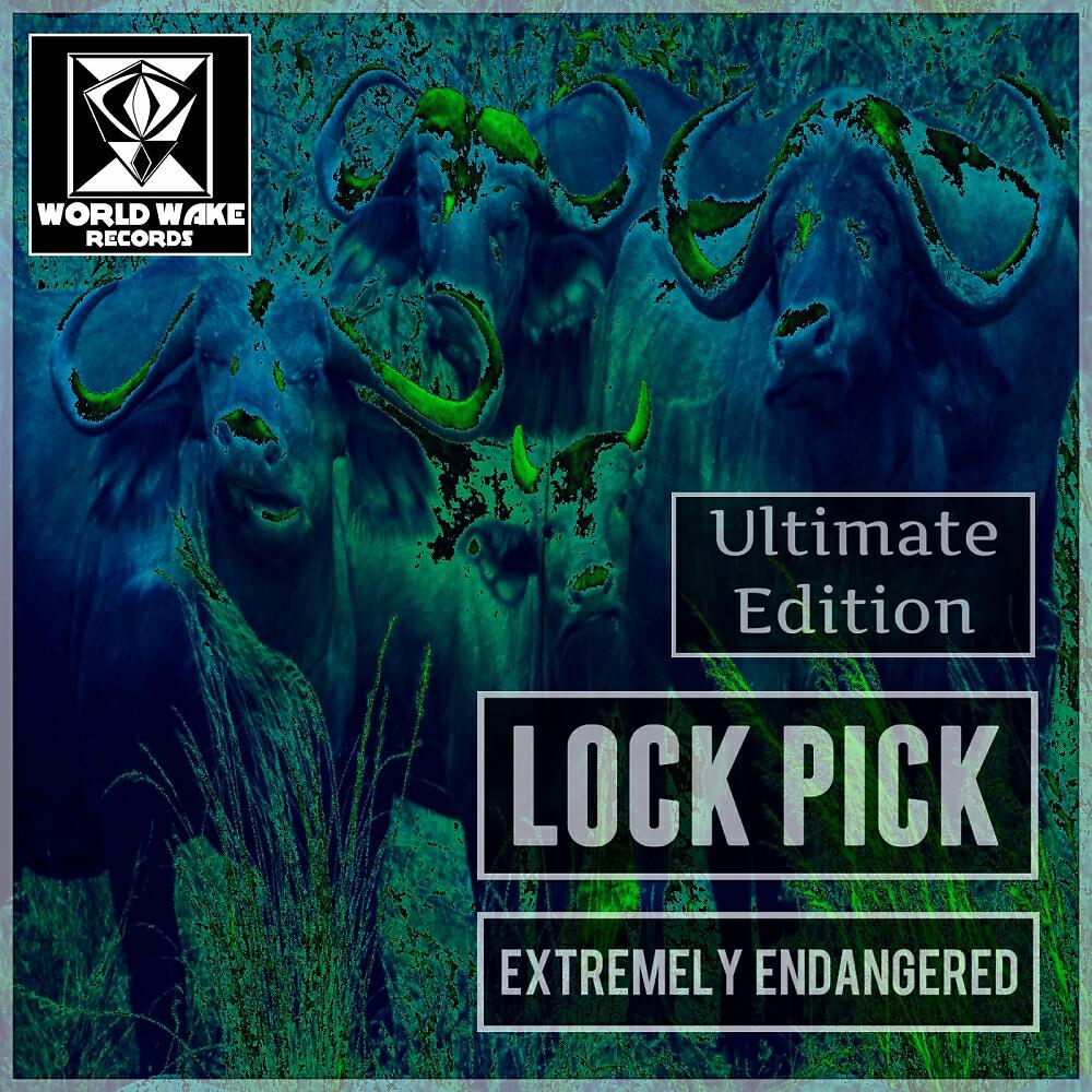 Lock Pick - Wicked Plastic