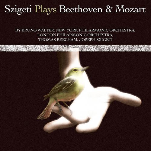 New York Philharmonic Orchestra - Concerto for Violin And Orchestra, in D, Op. 61: II. Larghetto