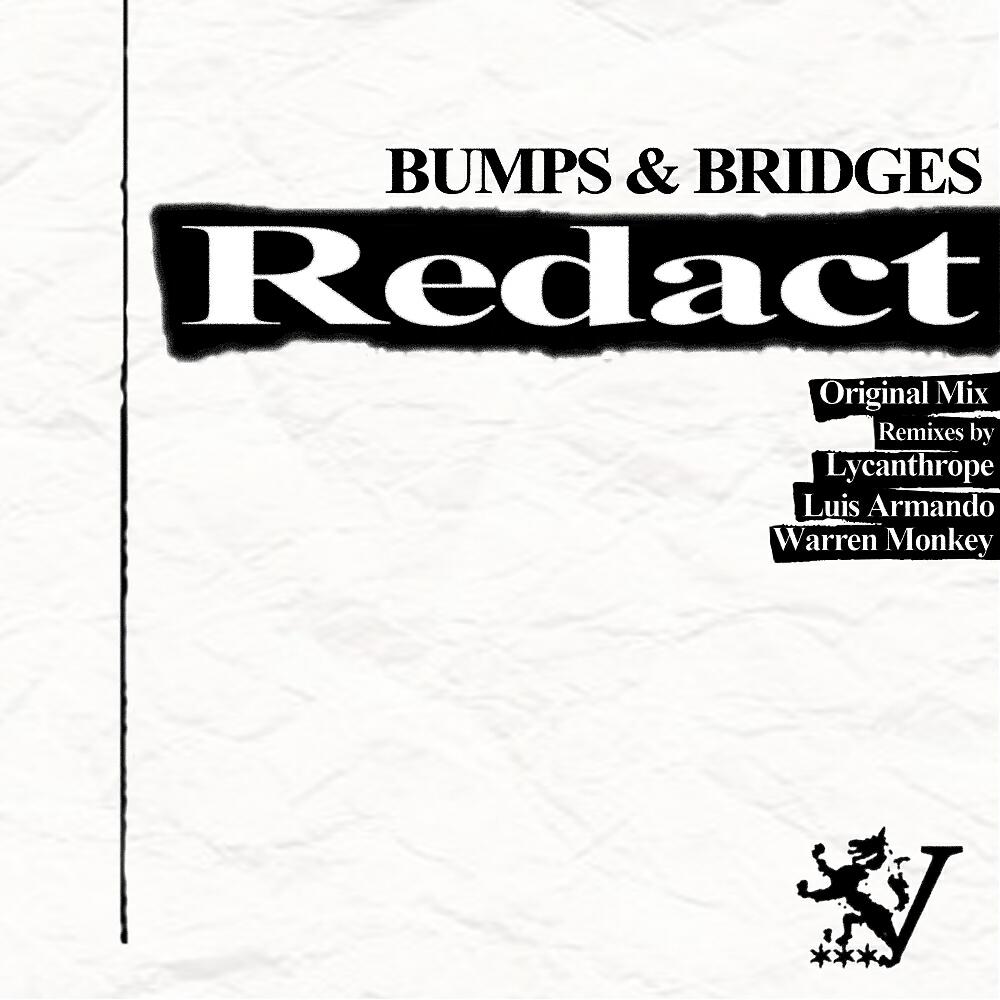 Bumps & Bridges - Redact