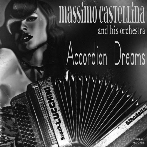 Постер альбома Accordion dreams