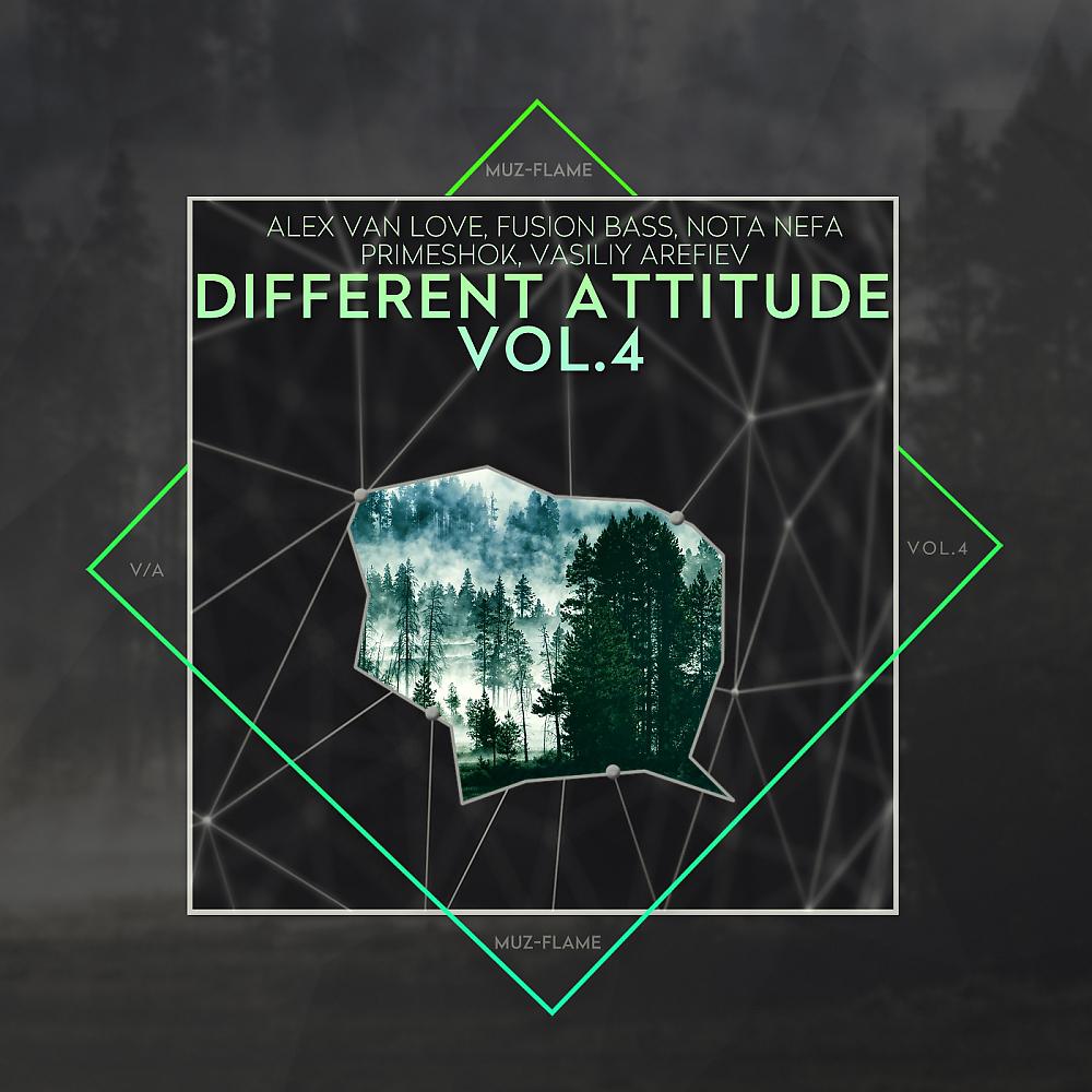 Постер альбома Different Attitude, Vol. 4