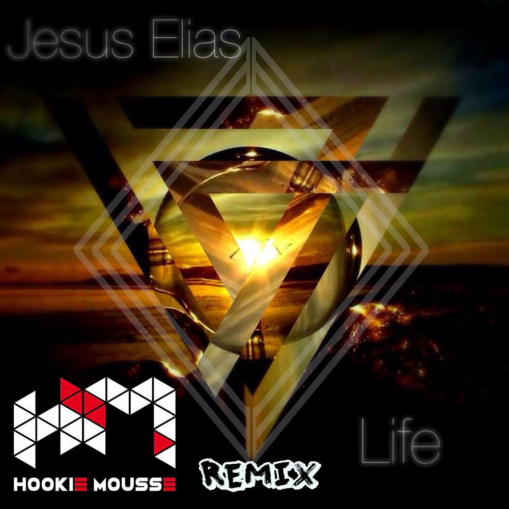 Постер альбома Life (Hookie Mousse Remix)