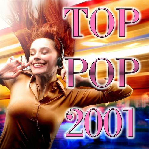 Постер альбома Top Pop 2001