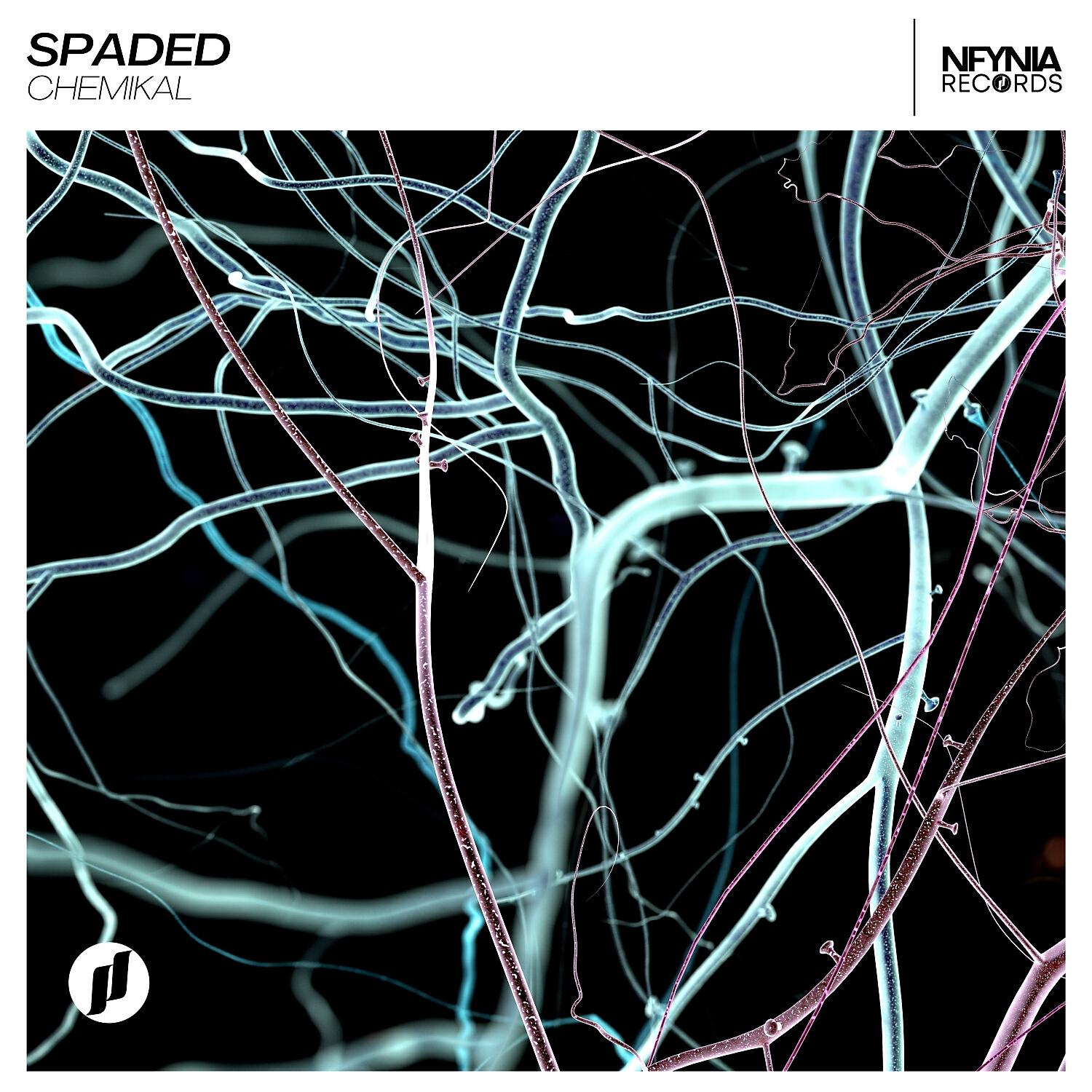 Spaded - Chemikal