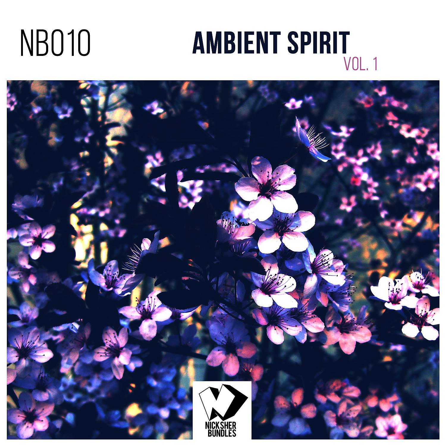 Постер альбома Ambient Spirit, Vol. 1
