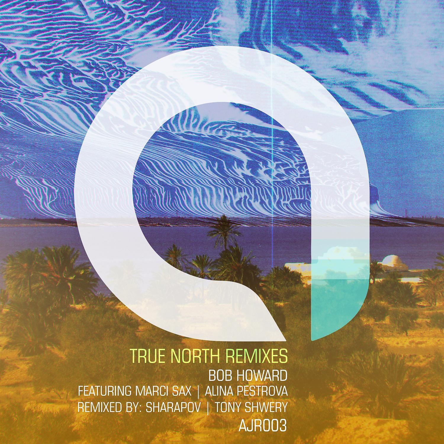 Постер альбома True North Remixes