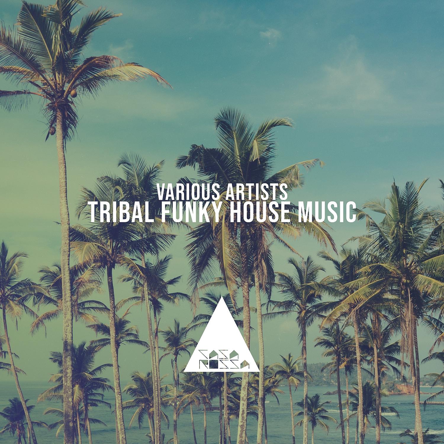 Постер альбома Tribal Funky House