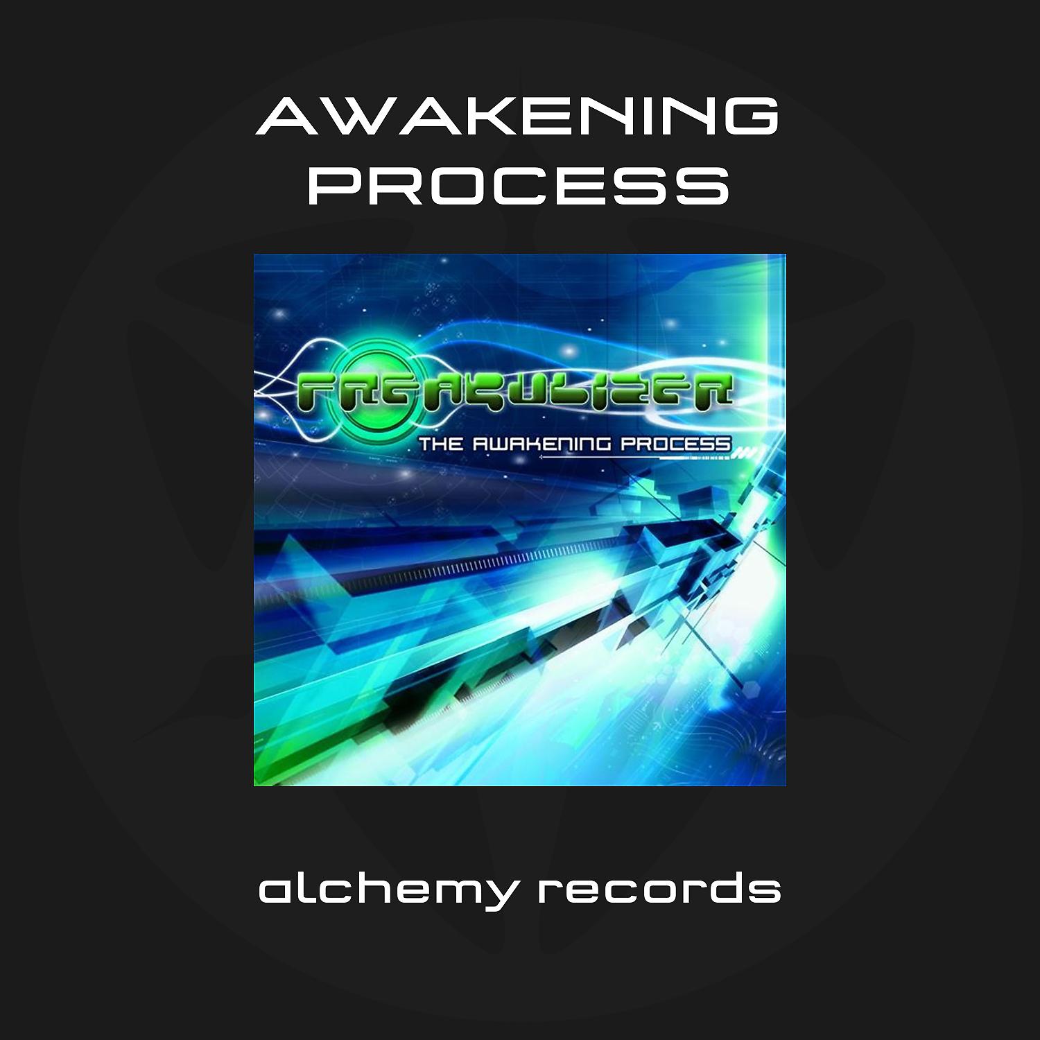 Постер альбома The Awakening Process