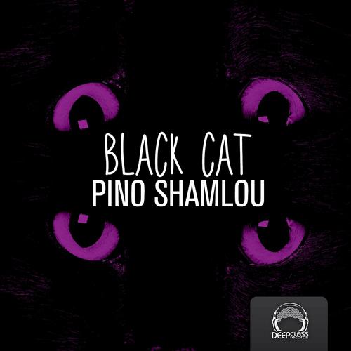 Постер альбома Black Cat EP