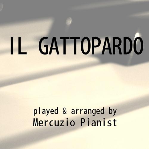 Постер альбома Il Gattopardo
