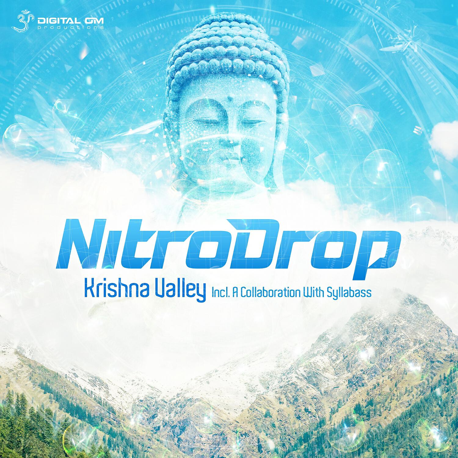Nitrodrop - Tripping on Acid (Original Mix)