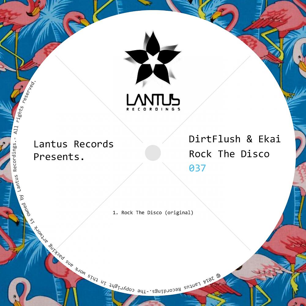 DirtFlush - Rock The Disco