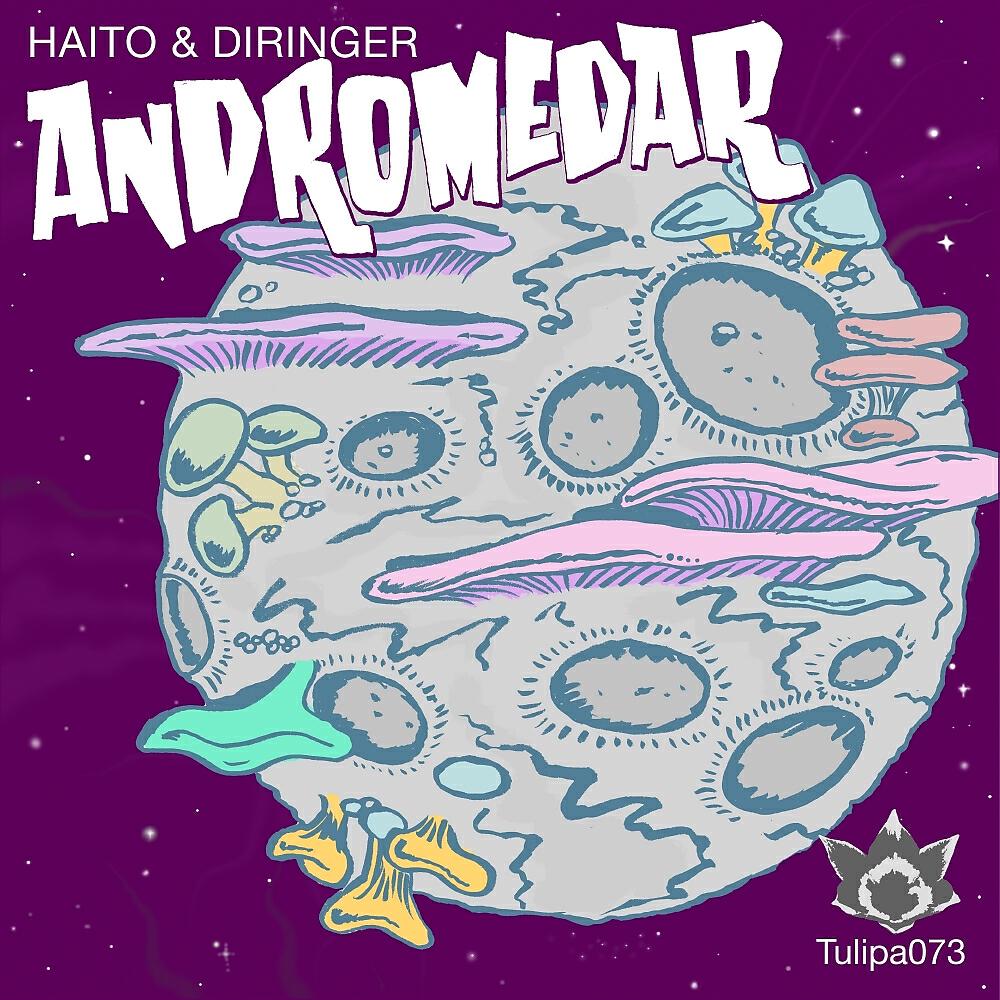 Haito Goepfrich - E 5