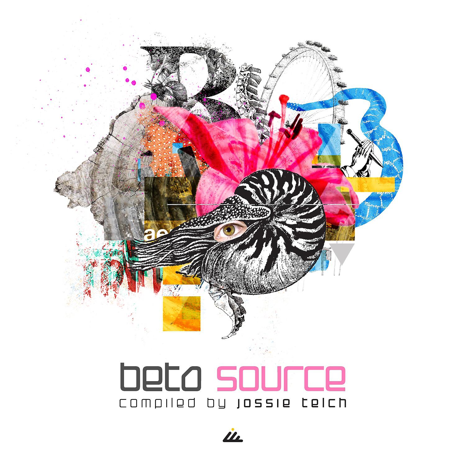 Постер альбома Beta Source