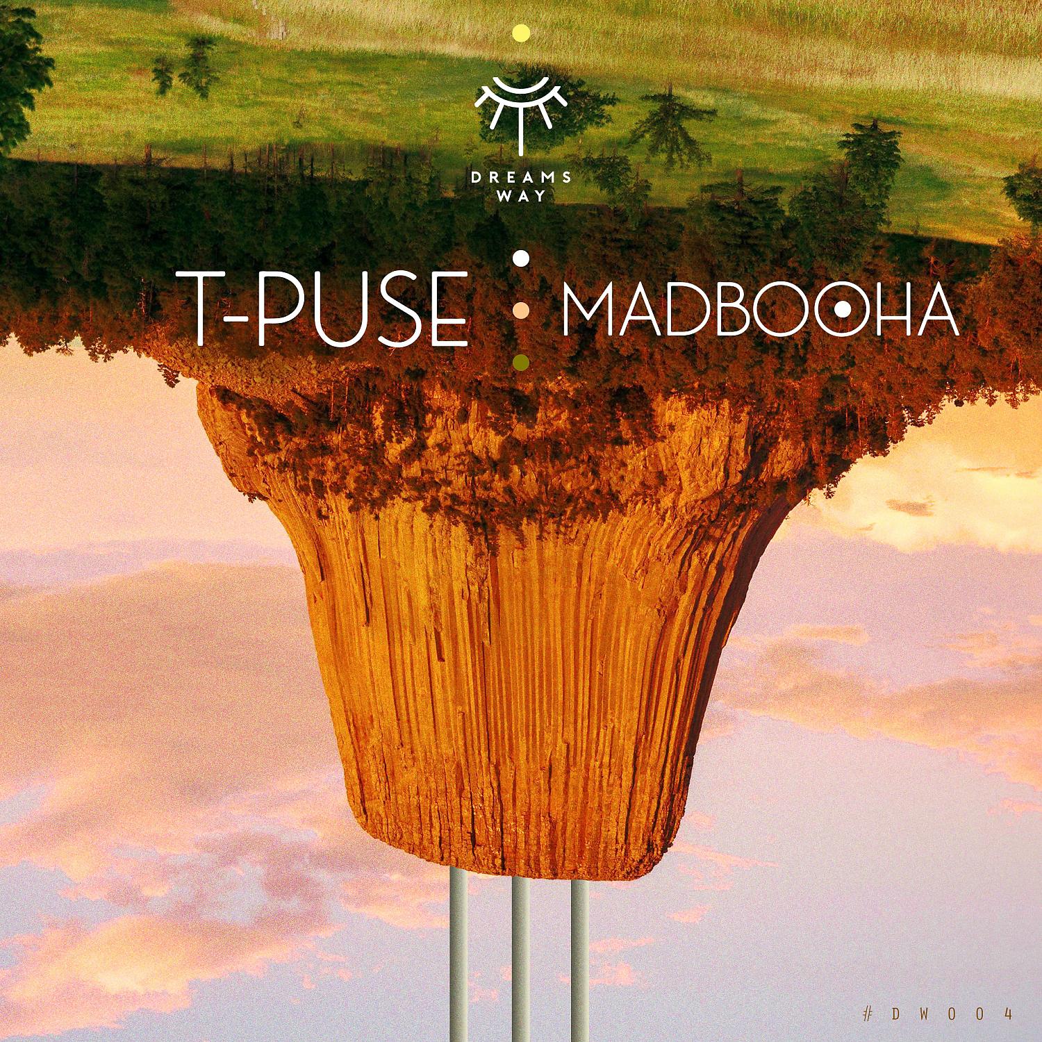 Постер альбома Madbooha