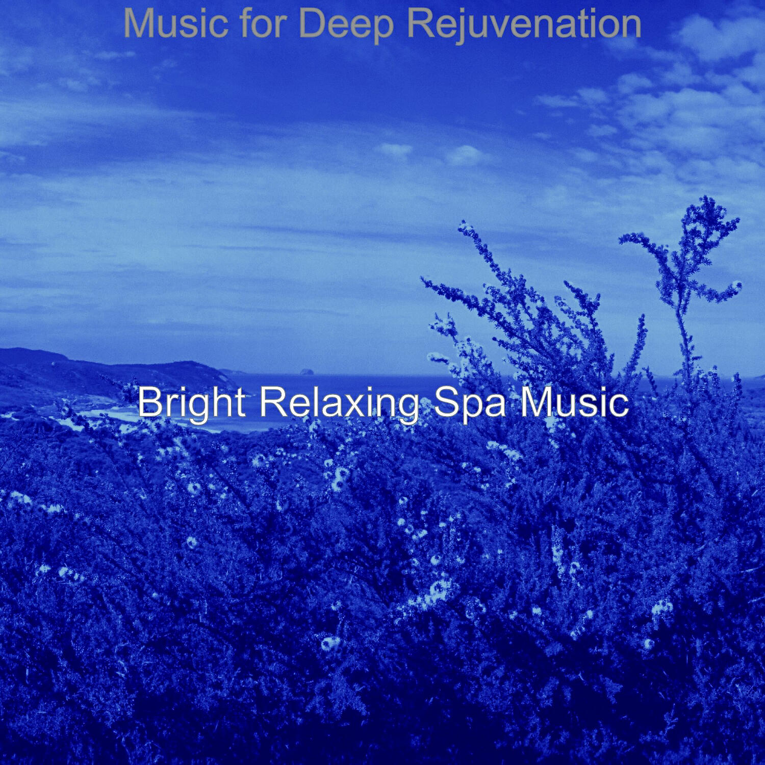 Bright Relaxing Spa Music - Charming Shakuhachi and Guitars - Vibe for Massage Therapy