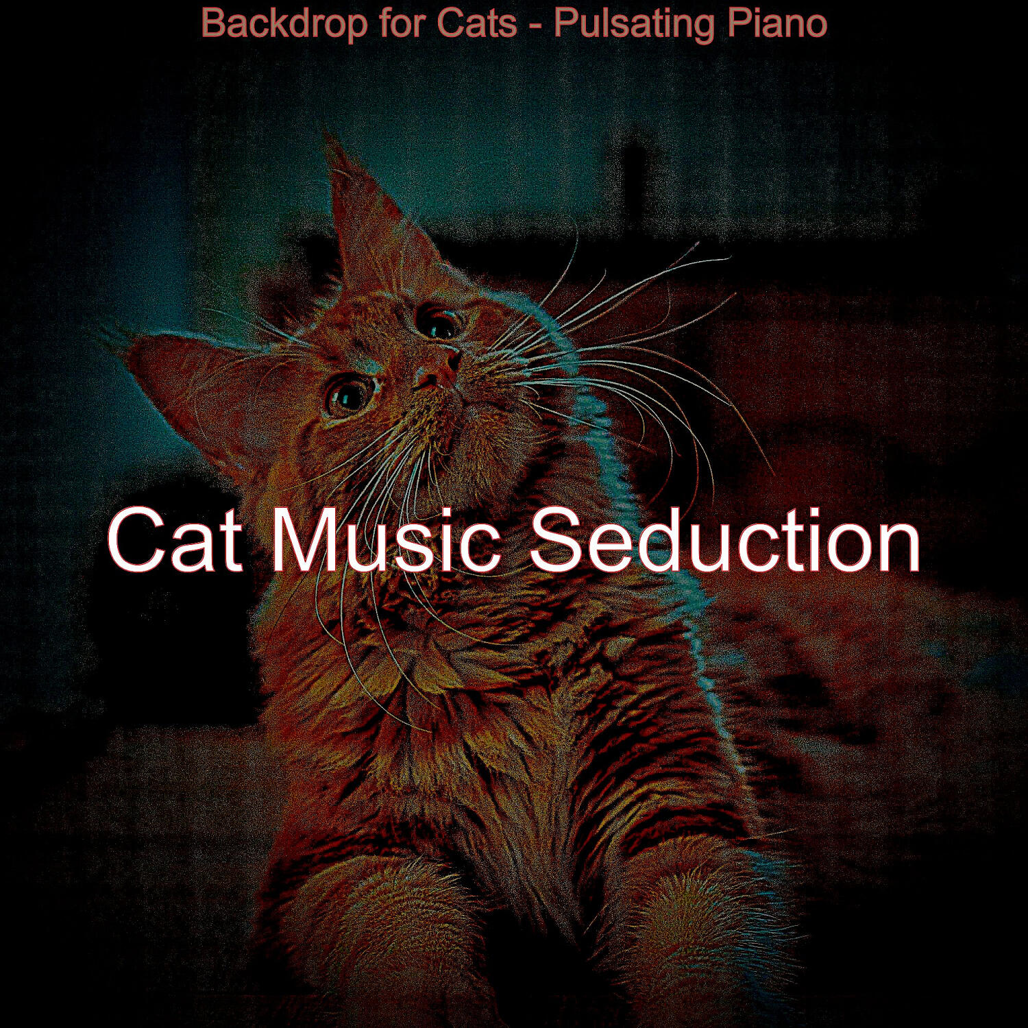 Cat Music Seduction - Piano Jazz Soundtrack for Kittens