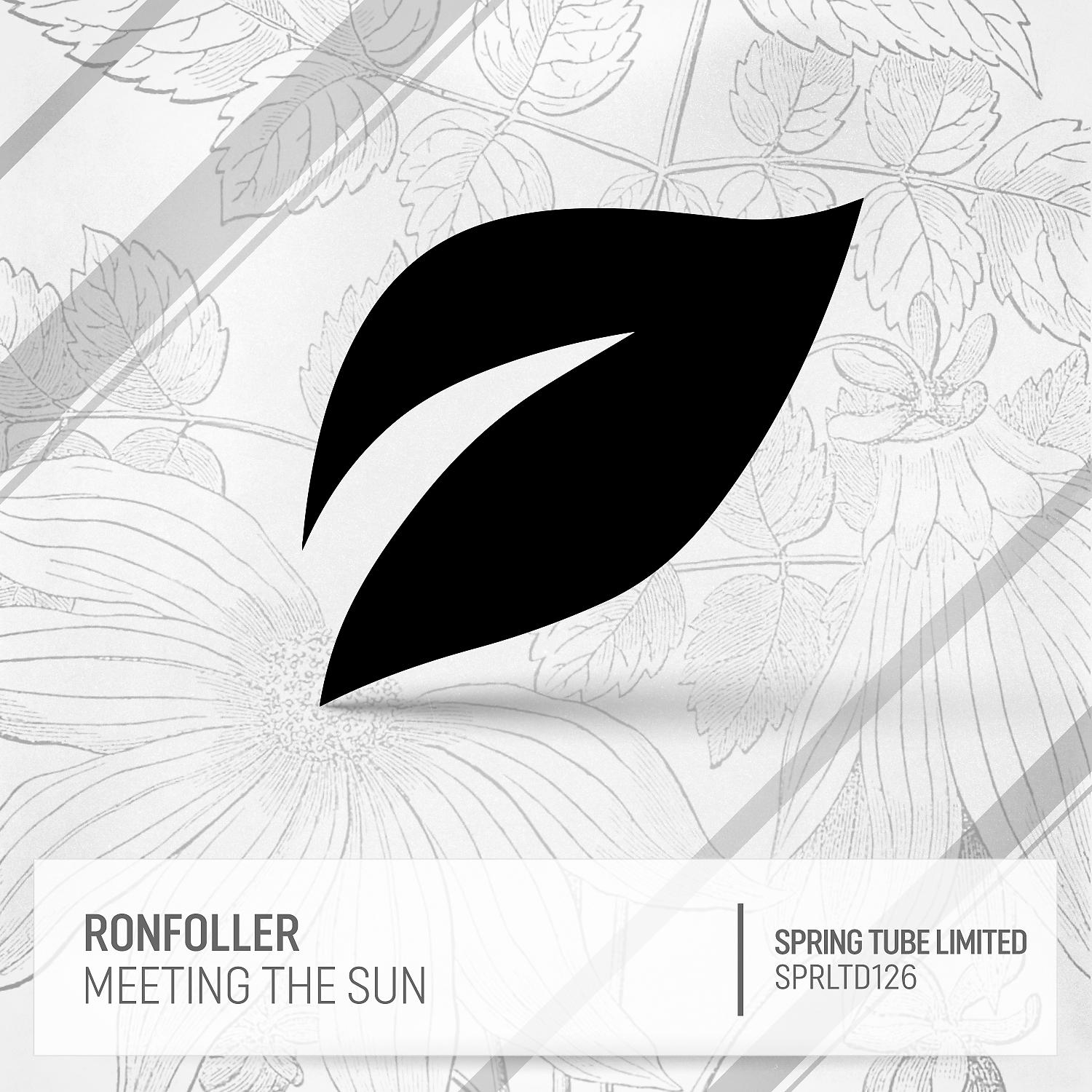 Постер альбома Meeting the Sun