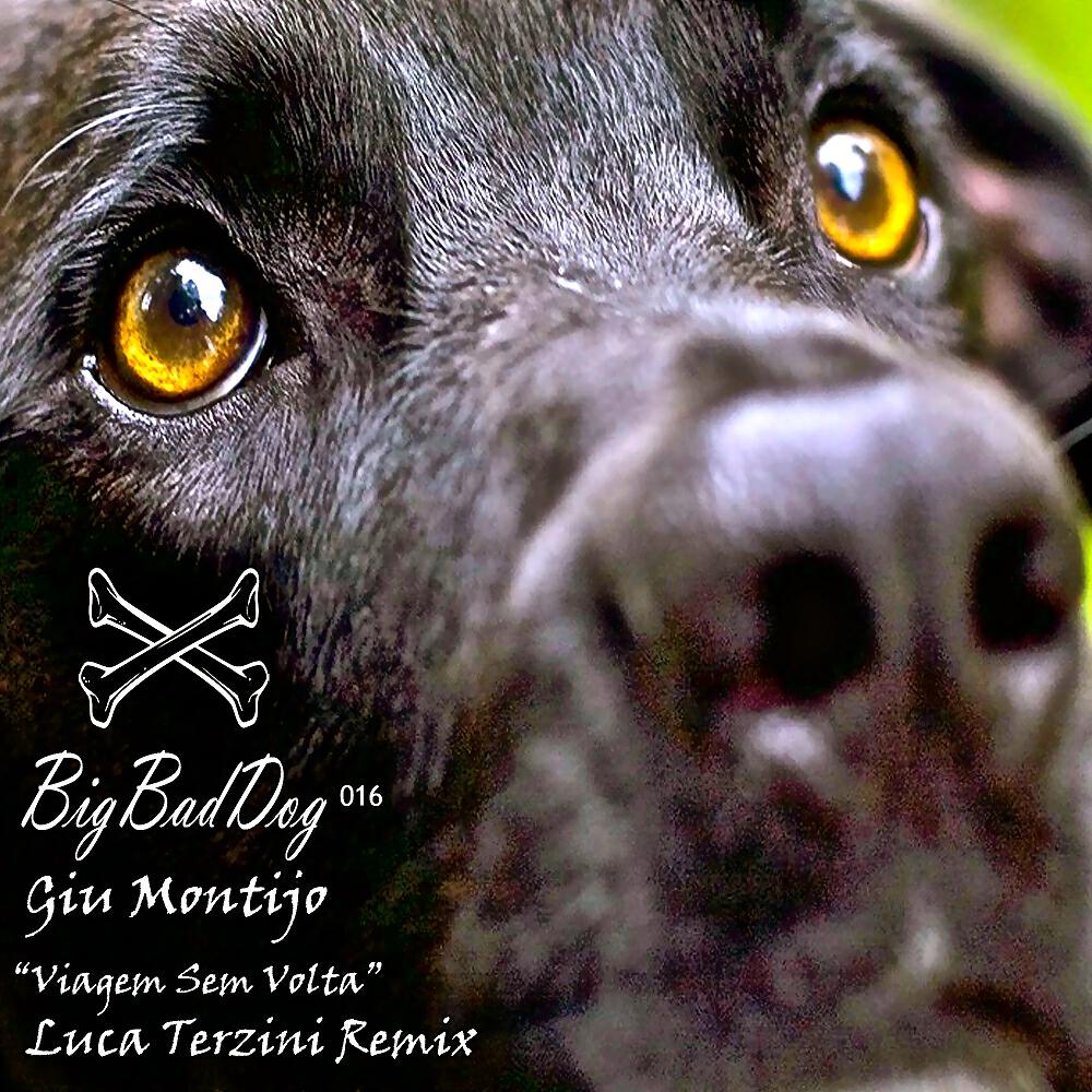Giu Montijo - Viagem Sem Volta (Luca Terzini Remix)
