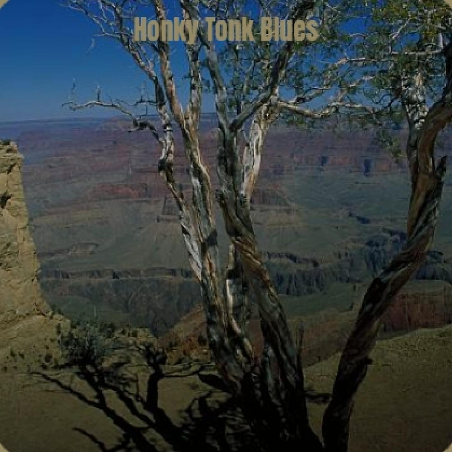 Постер альбома Honky Tonk Blues