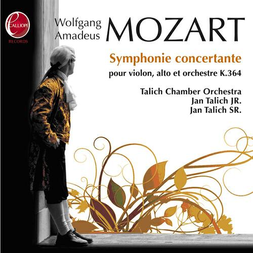 Jan Talich Jr. - Duo in G Major, K.423: I. Allegro