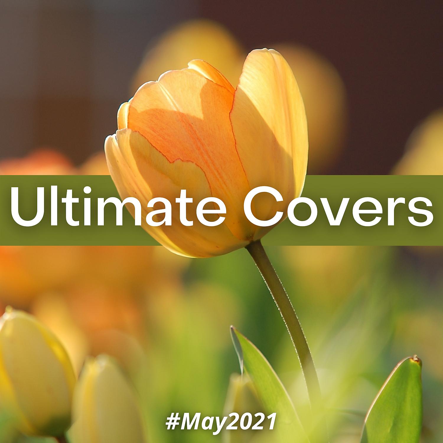 Постер альбома Ultimate Covers (#May 2021)