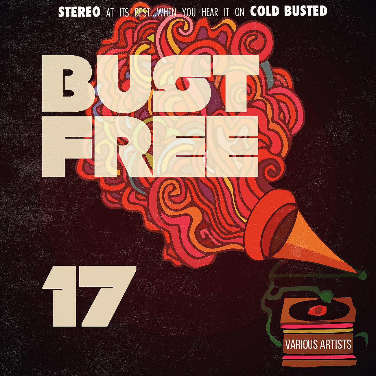 Постер альбома Bust Free 17