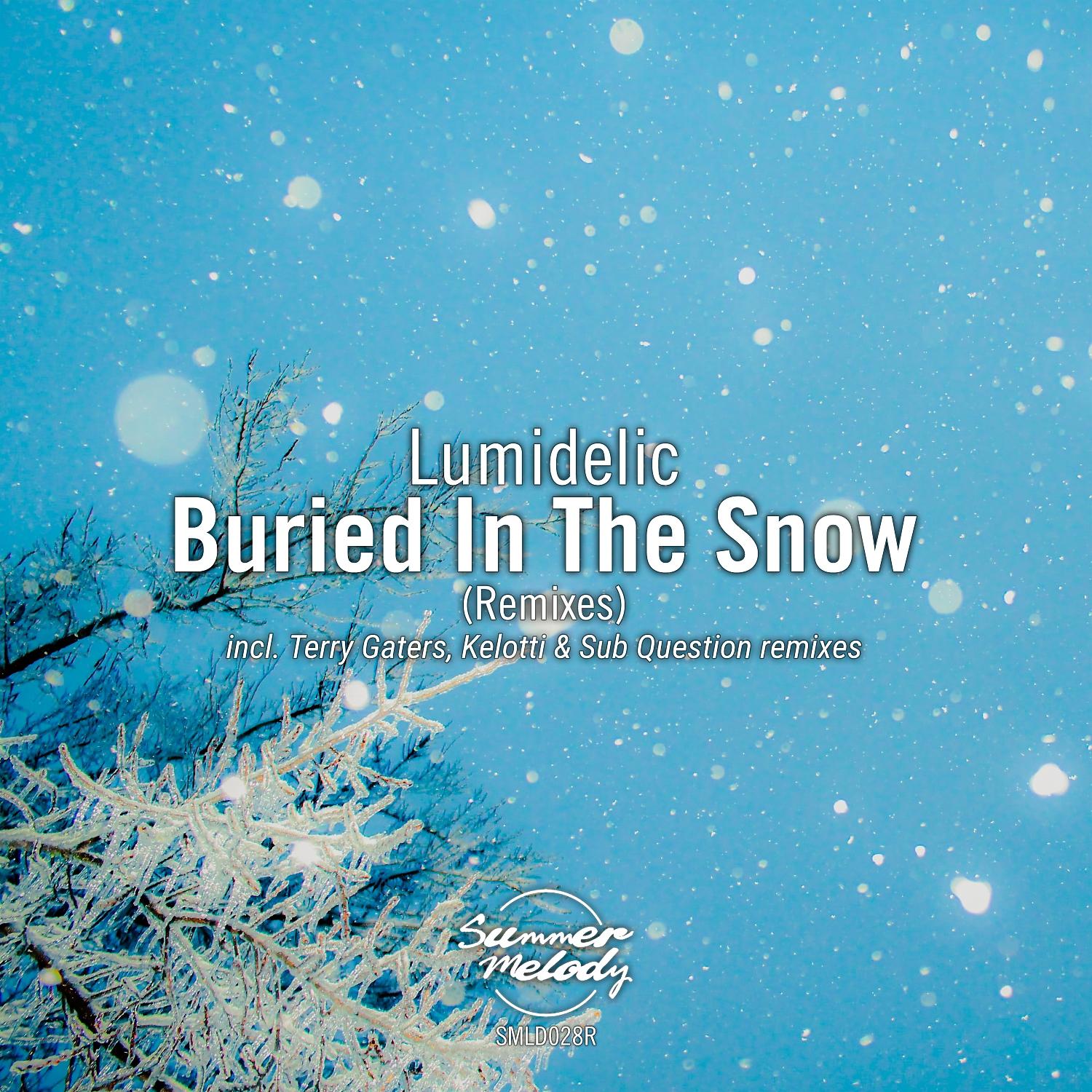 Постер альбома Buried in the Snow (Remixes)