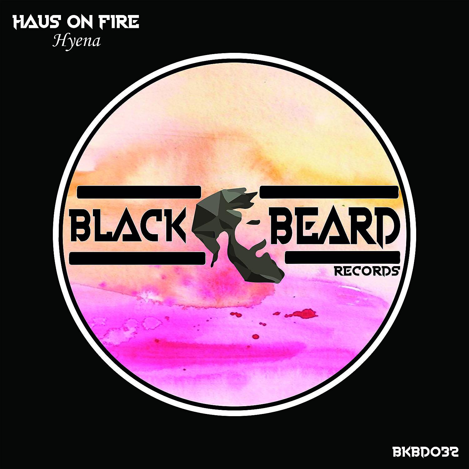 Haus On Fire - Hyena (Raw District Remix)